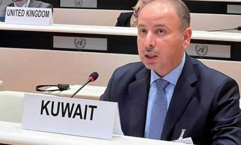 السفير ناصر الهين