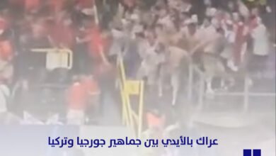 عراك بالأيدي بين جماهير جورجيا وتركيا