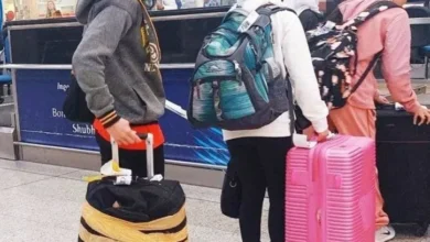 تحويل العمالة المنزلية الي مادة 18 اهلي