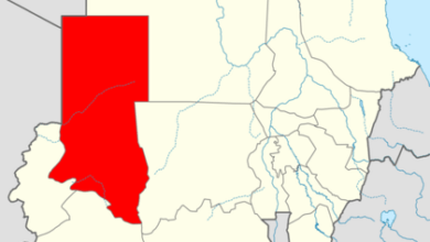 ولاية شمال دارفور